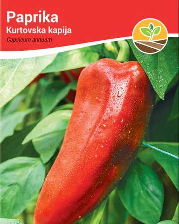paprika kurtovska kapija