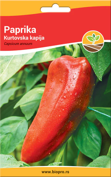 paprika kurtovska kapija