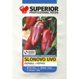 paprika slonovo uvo