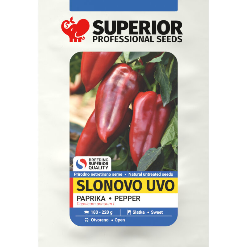 paprika slonovo uvo