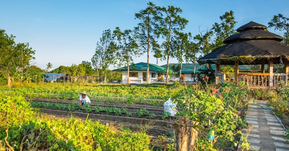 Agroturizam u Srbiji: Kako farme postaju turističke atrakcije i izvor prihoda