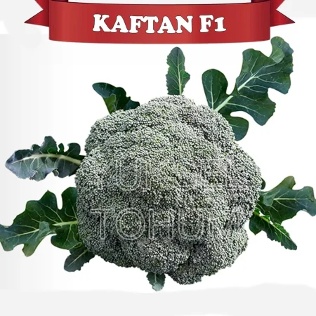 brokoli kaftan f1