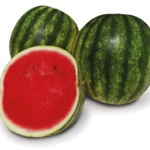 lubenica pluto f1