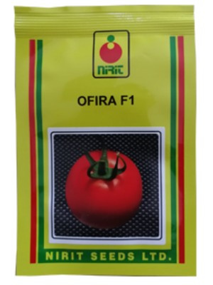 ofira 4