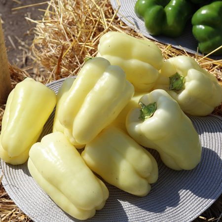 paprika ipon f1