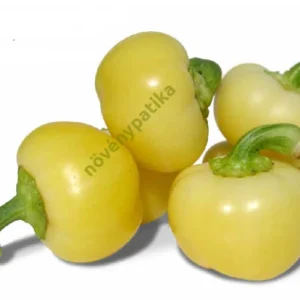 paprika ispan f1