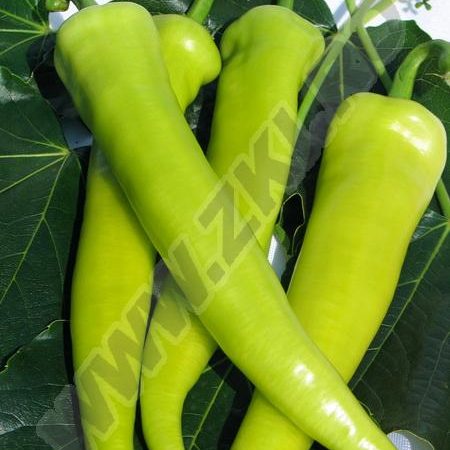 paprika rapires f1