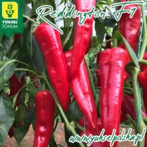 paprika reddington f1