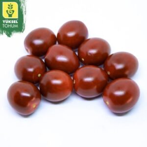 paradajz chocolina f1