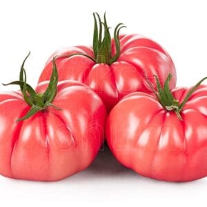 paradajz pink ergen f1