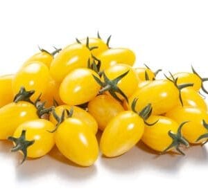 paradajz zitronina f1