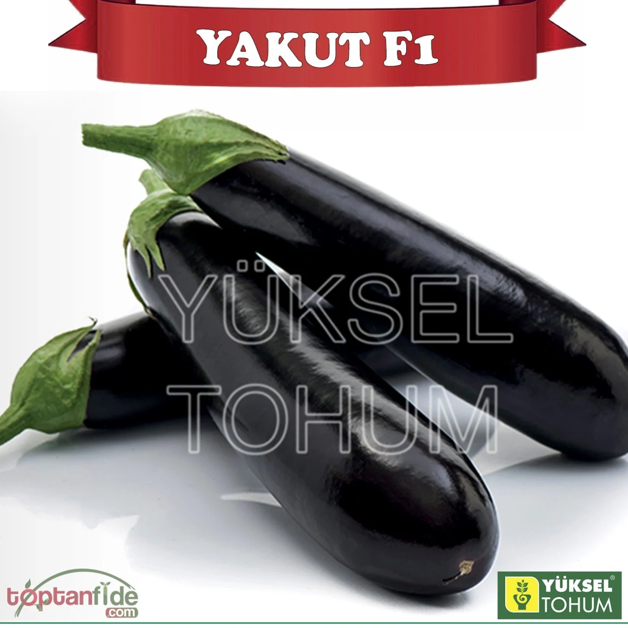 plavi patlidzan yakut f1