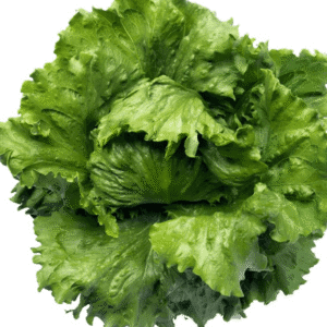 salata elsol