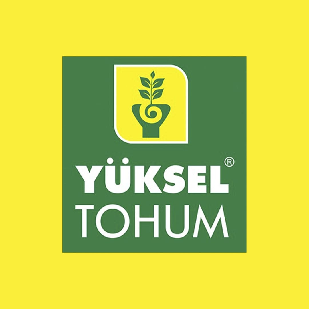 Yüksel Tohum