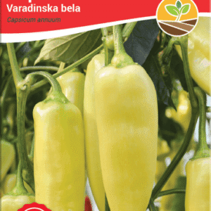 paprika varadinska bela