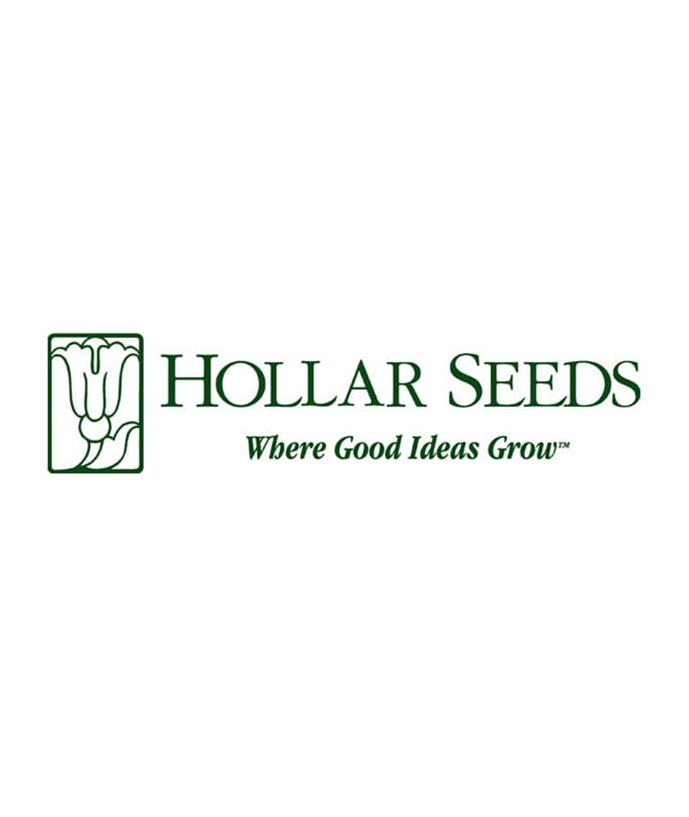 Hollar Seeds