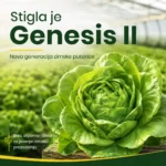 Stigla je nova salata Genesis II