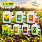 Biofor preparati – kako se koriste u proizvodnji